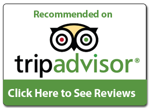 trip advisor